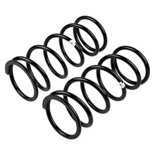 Load image into Gallery viewer, -Ome-Coil-Spring-Rear-PFind-R50