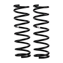 Load image into Gallery viewer, -Ome-Coil-Spring-Rear-PFind