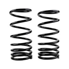 Load image into Gallery viewer, -Ome-Coil-Spring-Rear-Paj-Lwb