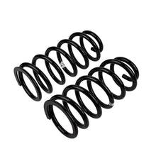 Load image into Gallery viewer, -Ome-Coil-Spring-Rear-Prado-150