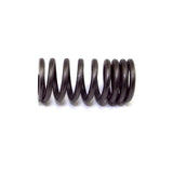 OMIX-ADA 17409.01 Intake Spring 134 Ci