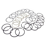 OMIX-ADA 17430.21 Piston Ring Set .030