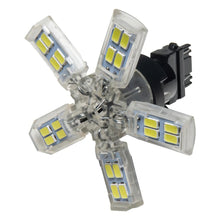 Load image into Gallery viewer, Oracle-3157-15-Smd-3-Chip-Spider-Bulb-(Single)---Cool-White