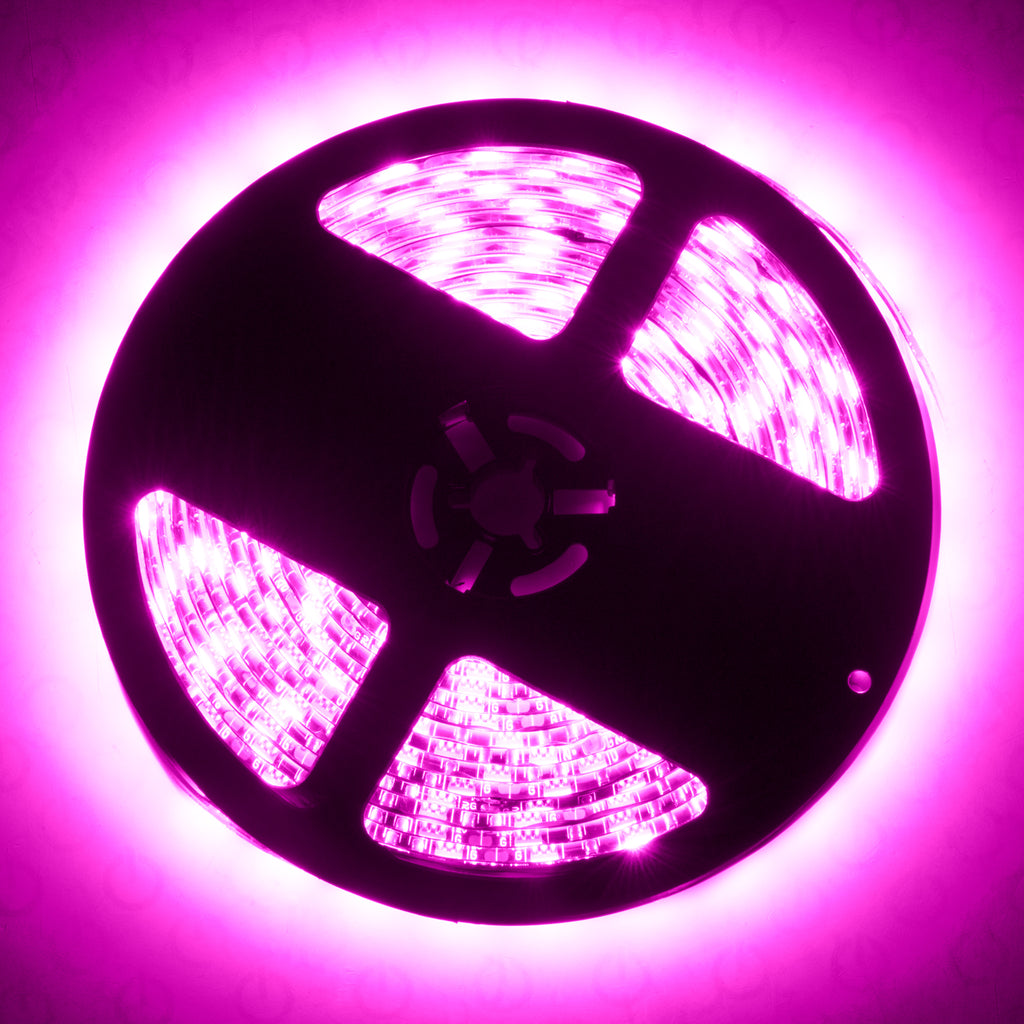 Oracle-Exterior-Flex-Led-12In-Strip---Pink