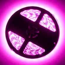 Load image into Gallery viewer, Oracle-Exterior-Flex-Led-Spool---Pink