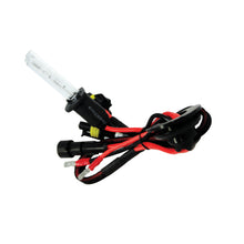 Load image into Gallery viewer, Oracle-H1-Xenon-Hid-Bulb---6000K