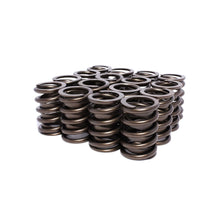 Load image into Gallery viewer, Outer-Valve-Springs-With-Damper-1.464-Dia.