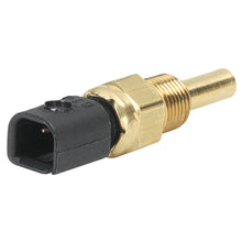 Load image into Gallery viewer, AutoMeter P13125 SENSOR, TEMPERATURE, SPEK-PRO, -40-300?F, 1/8" NPTF, DELPHI