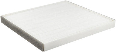 Baldwin PA10009 Cabin Air Element