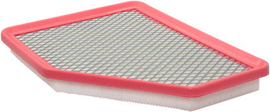 Baldwin PA10078 Panel Air Element