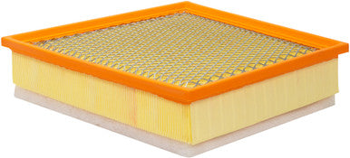 Baldwin PA10095 Panel Air Element with Foam Pad