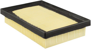 Baldwin PA10275 Panel Air Element