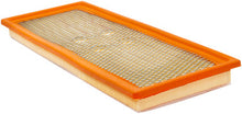 Load image into Gallery viewer, Baldwin PA10423 Panel Air Element with Foam Pad