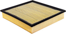 Load image into Gallery viewer, Baldwin PA10427 Panel Air Element