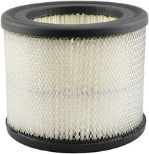 Load image into Gallery viewer, Baldwin PA1697 Air Element