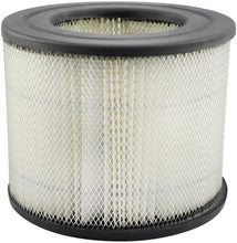 Load image into Gallery viewer, Baldwin PA1718 Air Element