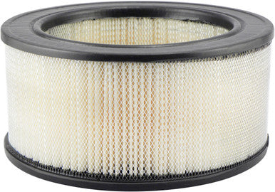 Baldwin PA1719 Air Element