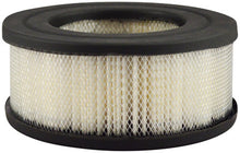 Load image into Gallery viewer, Baldwin PA1832 Air Element