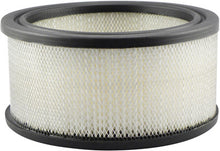 Load image into Gallery viewer, Baldwin PA2023 Air Element