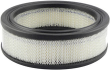 Load image into Gallery viewer, Baldwin PA2050 Air Element