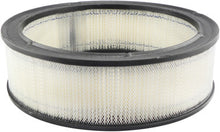 Load image into Gallery viewer, Baldwin PA2052 Air Element