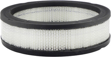 Baldwin PA2063 Air Element