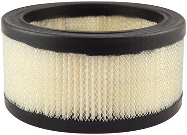 Baldwin PA2067 Air Element