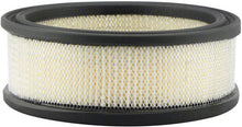 Load image into Gallery viewer, Baldwin PA2069 Air Element