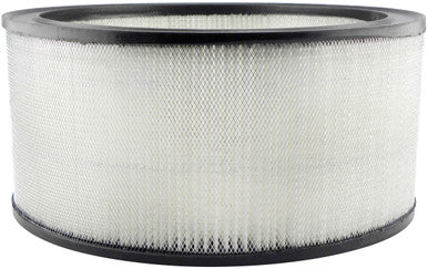 Baldwin PA2091 Air Element