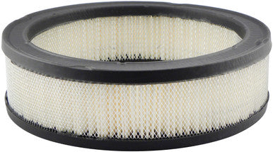 Baldwin PA2109 Air Element