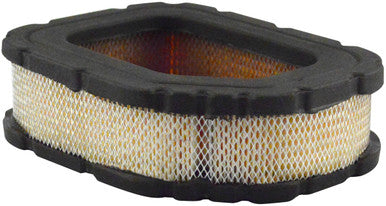 Baldwin PA30012 Air Element