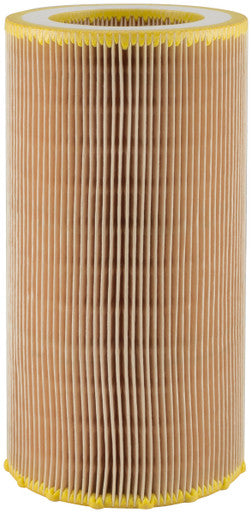 Baldwin PA30101 Outer Air Element