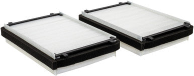 Baldwin PA30117 Set of 2 Cab Air Elements