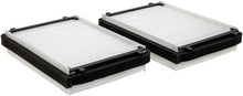 Load image into Gallery viewer, Baldwin PA30117 Set of 2 Cab Air Elements