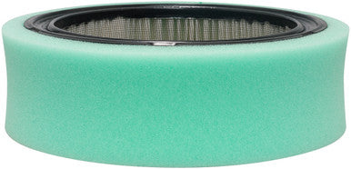Baldwin PA30189 Air Element with Foam Wrap & Bolt Hole