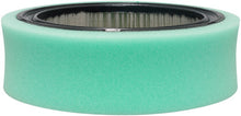 Load image into Gallery viewer, Baldwin PA30189 Air Element with Foam Wrap &amp; Bolt Hole