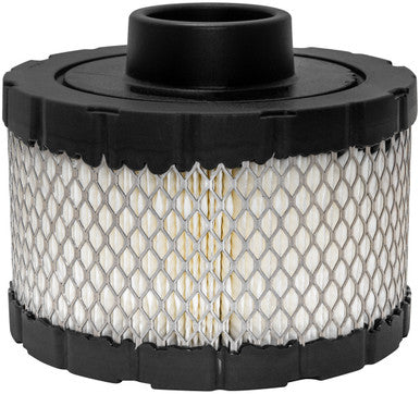 Baldwin PA30284 Air Element