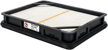 Load image into Gallery viewer, Baldwin PA31007 Secondary EnduraPanel Air
