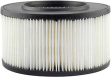 Load image into Gallery viewer, Baldwin PA3773 Air Element