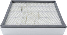 Load image into Gallery viewer, Baldwin PA3781 Cab Air Element