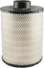 Load image into Gallery viewer, Baldwin PA3868 Air Element