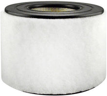 Load image into Gallery viewer, Baldwin PA3890 Air Element with Foam Wrap