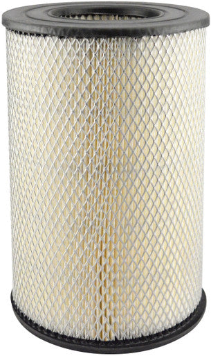 Baldwin PA3894 Air Element