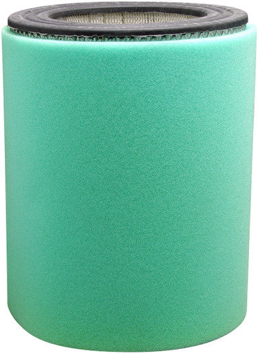 Baldwin PA3956 Air Element with Foam Wrap