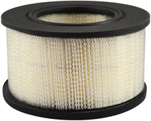 Load image into Gallery viewer, Baldwin PA3970 Air Element