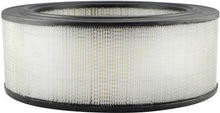 Load image into Gallery viewer, Baldwin PA4005 Air Element