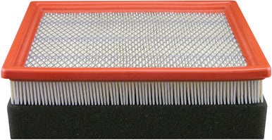 Baldwin PA4073 Air Element with Foam Pad