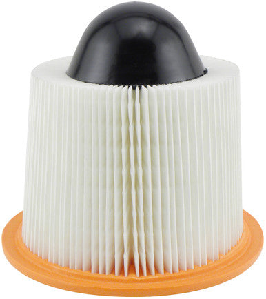 Baldwin PA4075 Air Element