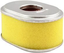 Load image into Gallery viewer, Baldwin PA4551 Oval Air Element with Foam Wrap