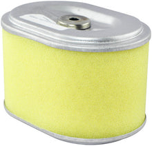 Load image into Gallery viewer, Baldwin PA4820 Oval Air Element with Foam Wrap